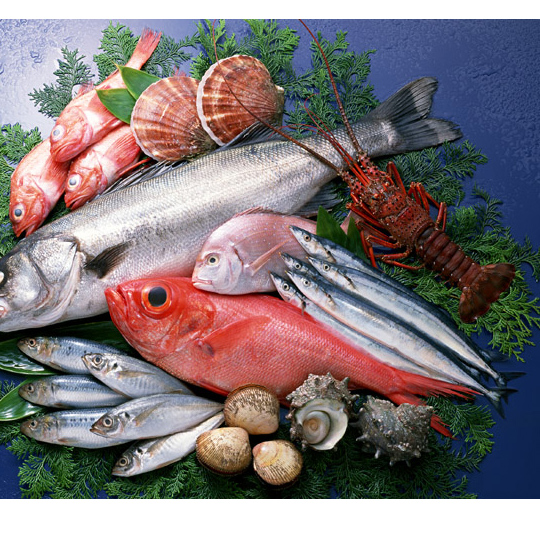 鮮魚・水産品