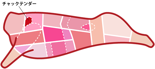 食肉の部位 チャックテンダー 業務用食肉卸 株式会社プレコフーズ