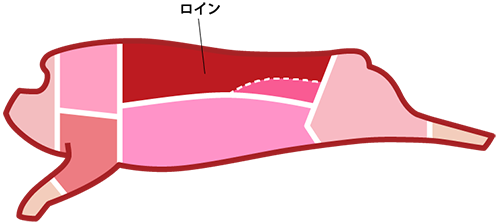 食肉の部位 ロイン 業務用食肉卸 株式会社プレコフーズ