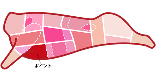 食肉の部位 ポイント 業務用食肉卸 株式会社プレコフーズ