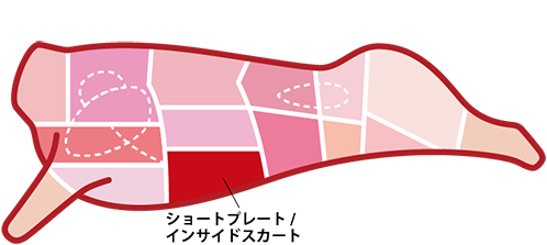 食肉の部位 ショートプレート インサイドスカート 業務用食肉卸 株式会社プレコフーズ